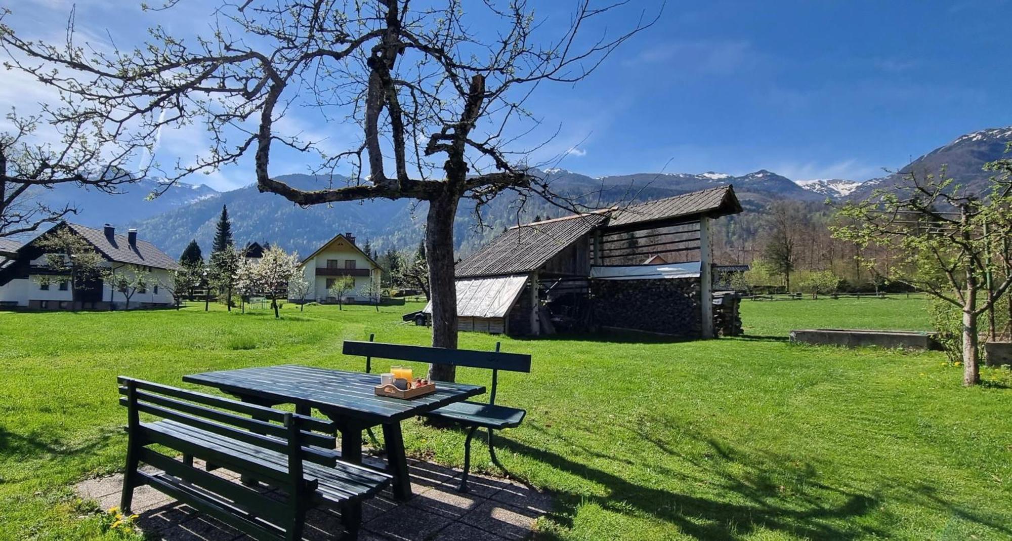 Apartments Skantar Bohinj Exteriör bild